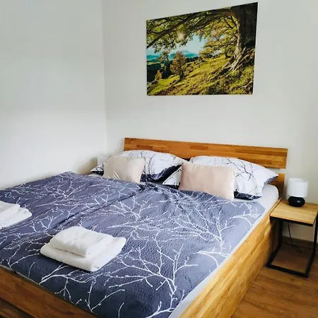 Karlovice  Horsky Apartman Karlovice מראה חיצוני תמונה