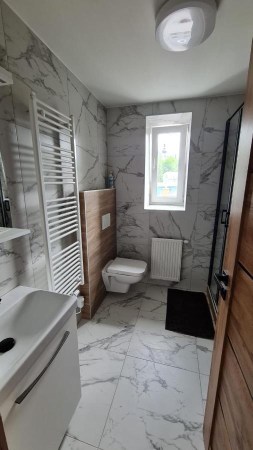Apartment Horsky Karlovice Karlovice (Moravia-Silesia)
